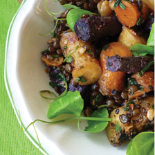 healthy recipes